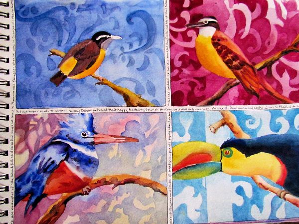 Watercolor painting of colorful birds